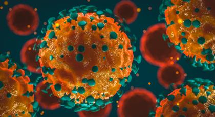 Coronavirus molecules